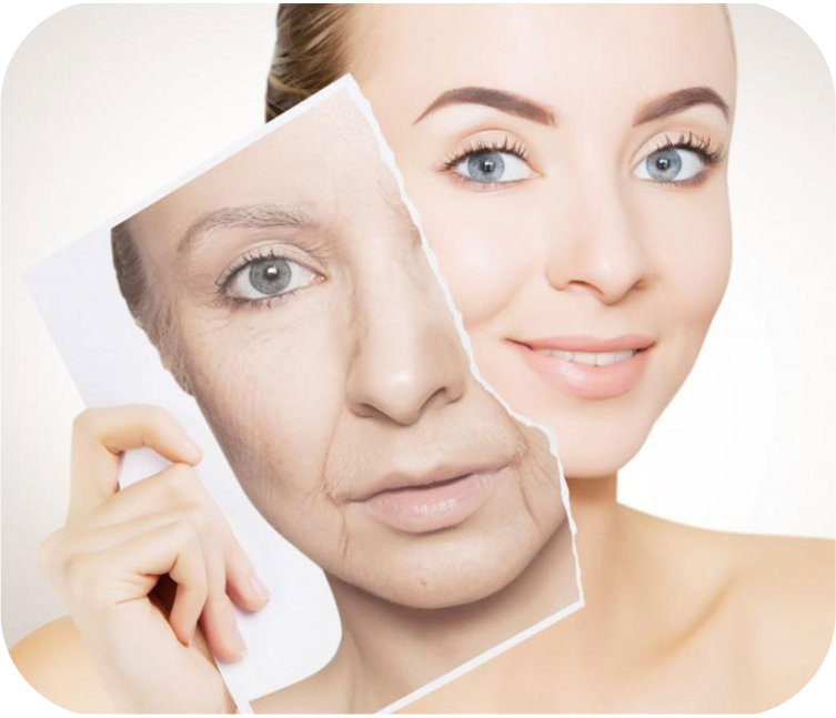 Anti-Aging