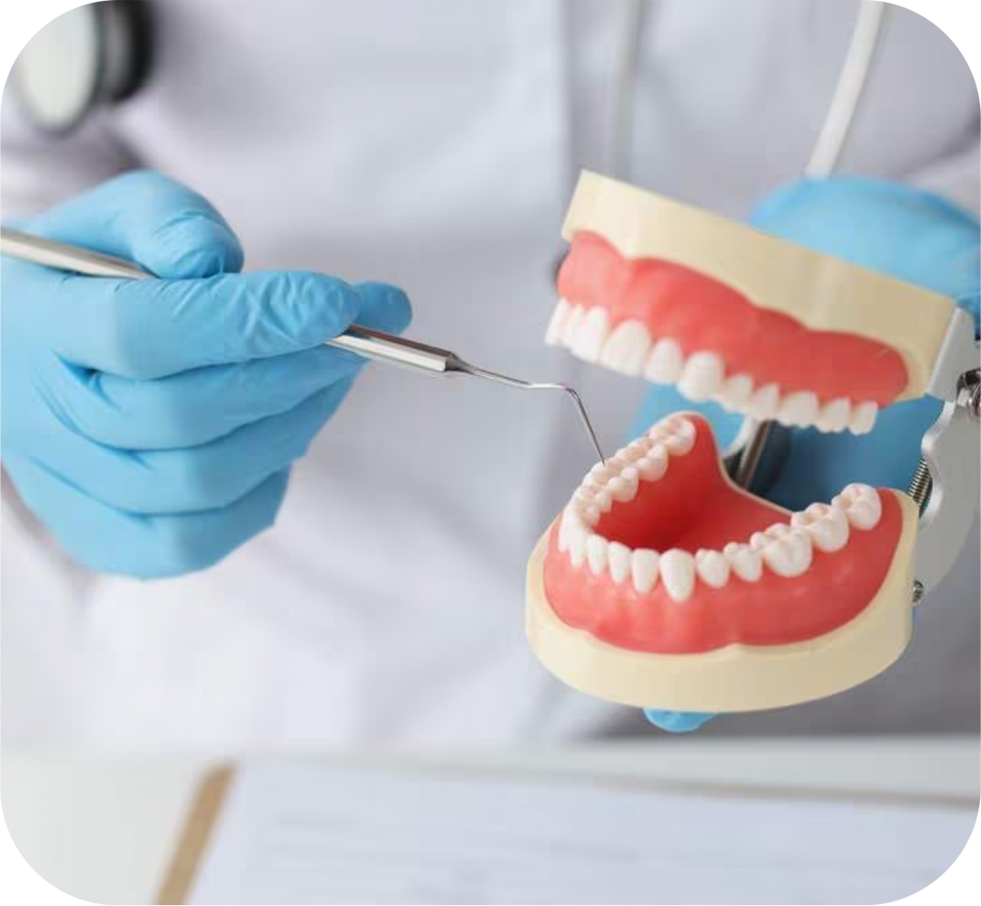 Dental Support Services